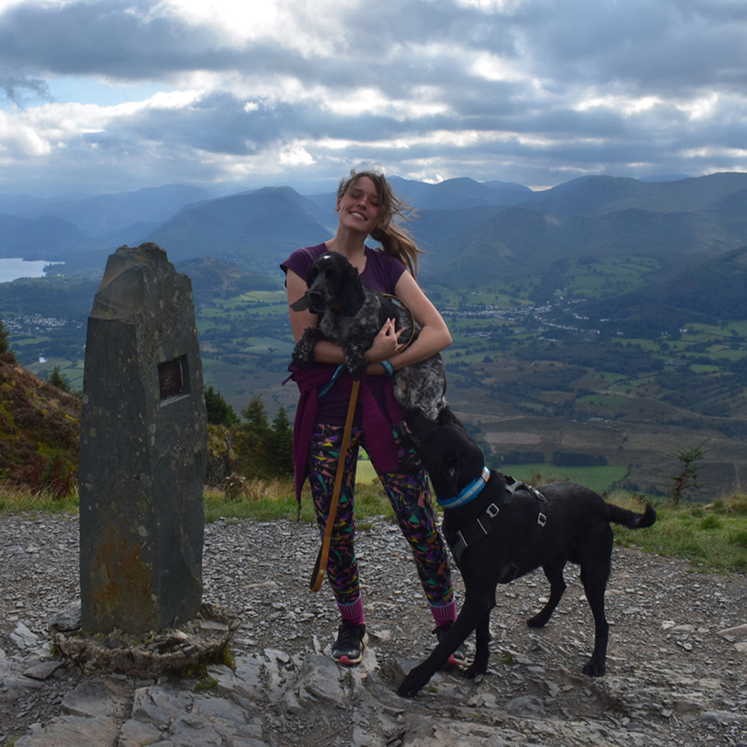 10 favourite dog walks with @paws.explore.north