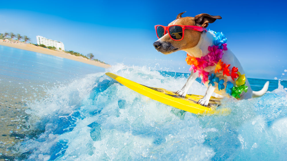 June: Who needs a vacation?