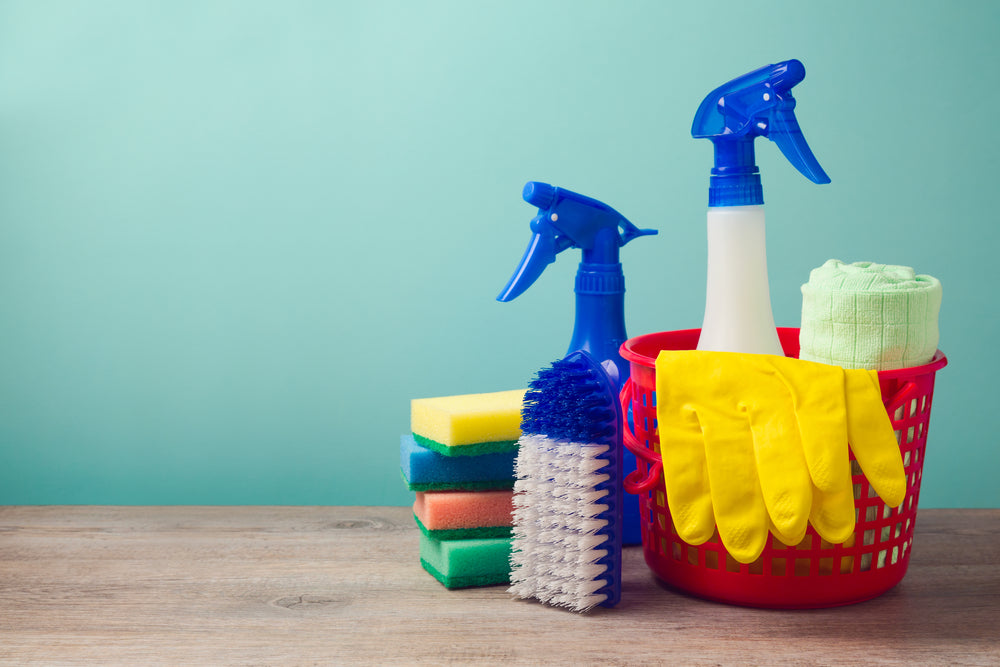 Spring Cleaning Tips for Dog Lovers
