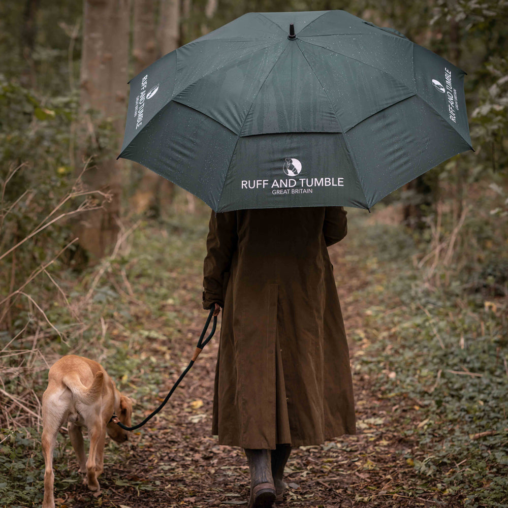 New Accessories for Rainy Dog Walks