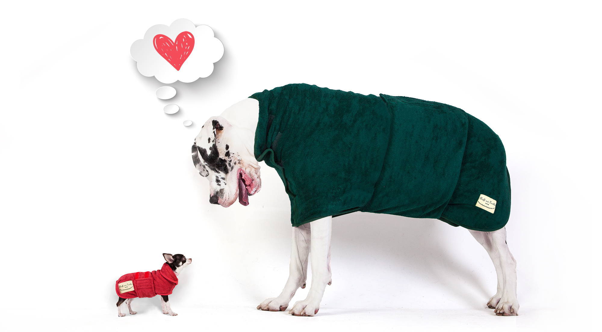 Does your dog have a sweetheart?