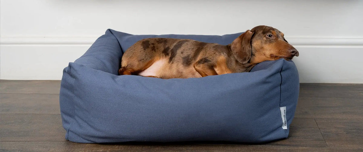 Burnham Bolster Dog Beds - Ruff and Tumble