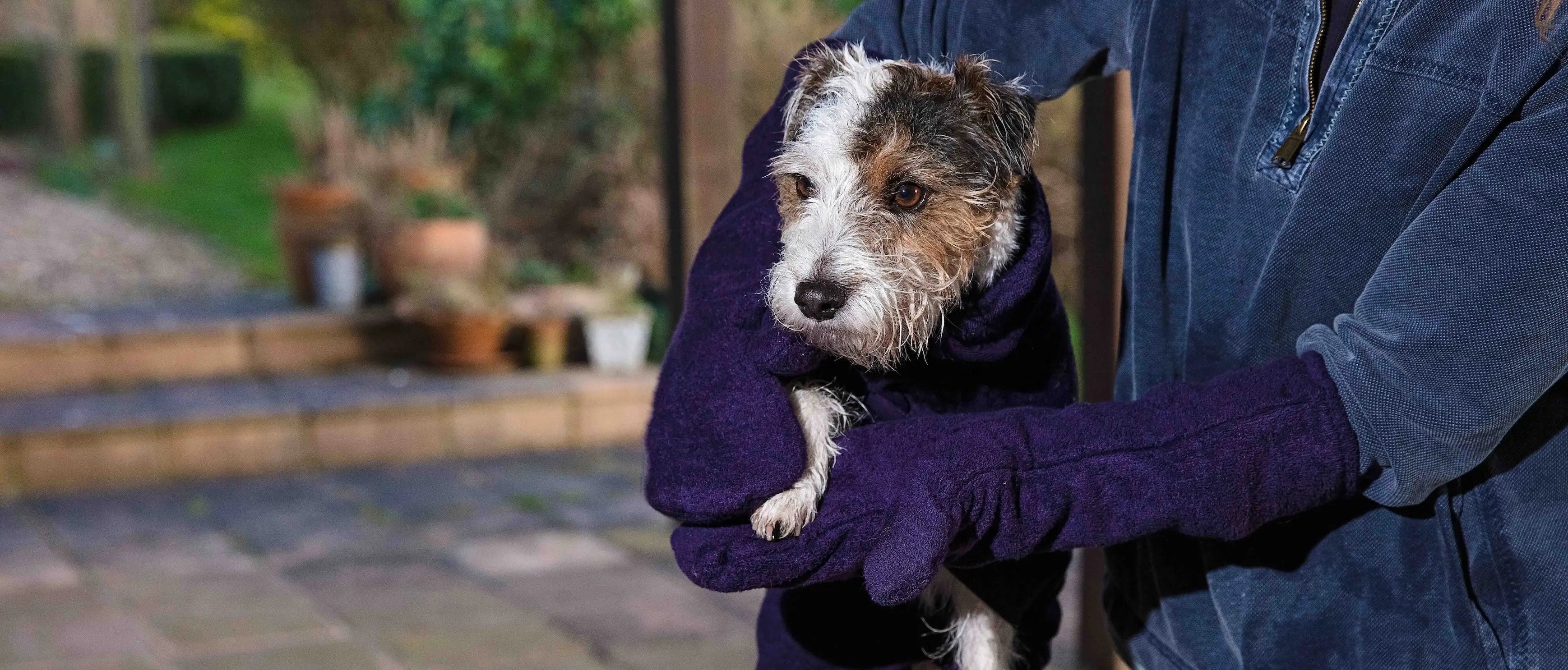 Dog-Drying-Mitts Ruff and Tumble