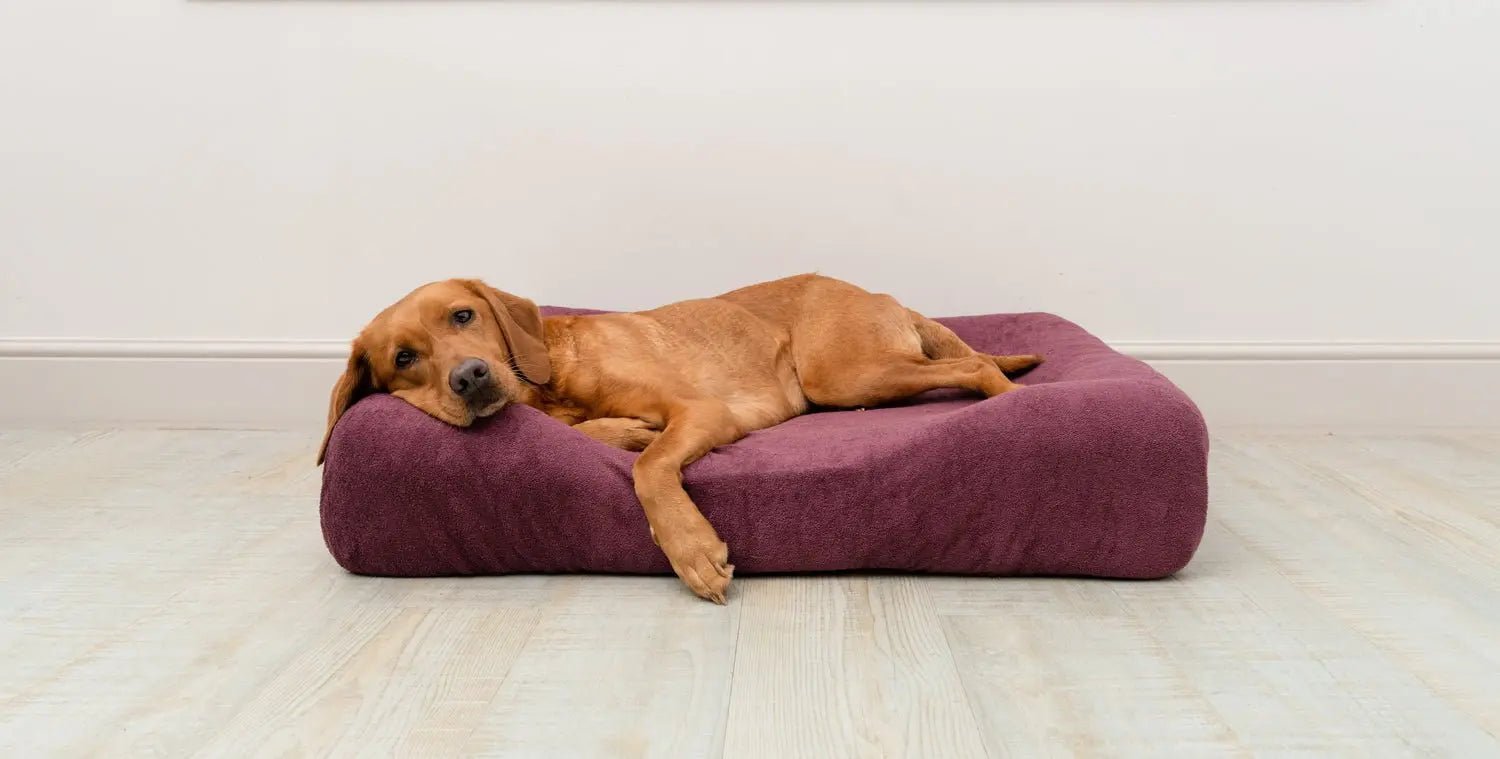 Universal Fit Bed Covers - Ruff and Tumble