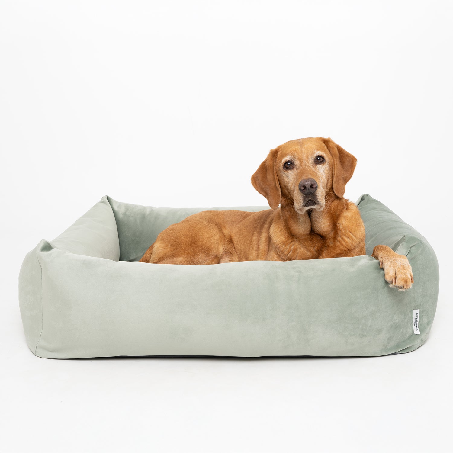 Velvet Burnham Bolster Dog Bed - Pistachio