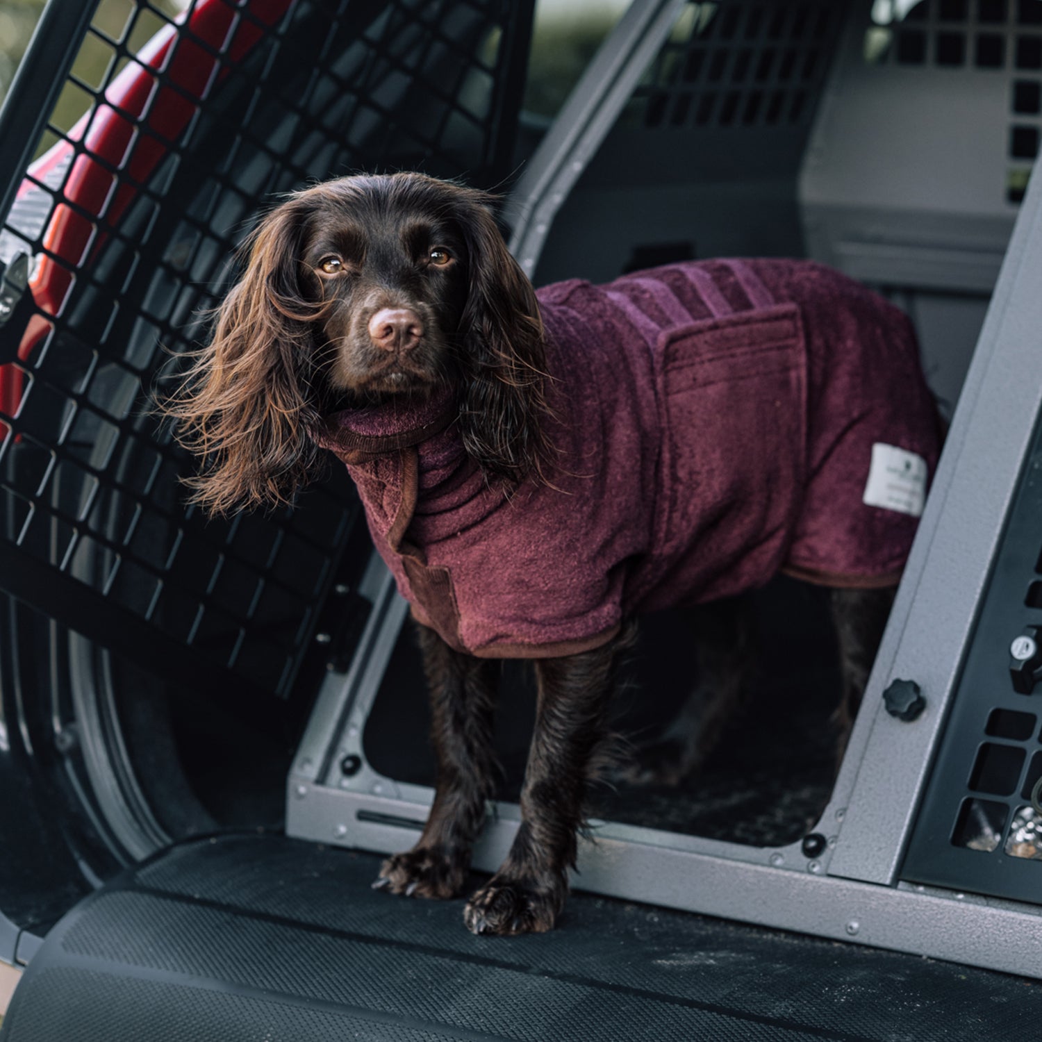 Country Dog Drying Coat - Burgundy