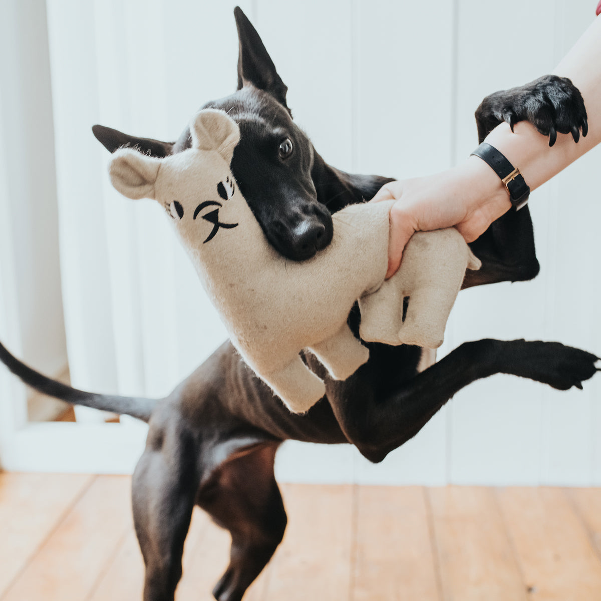 Hunter Llama Dog Toy