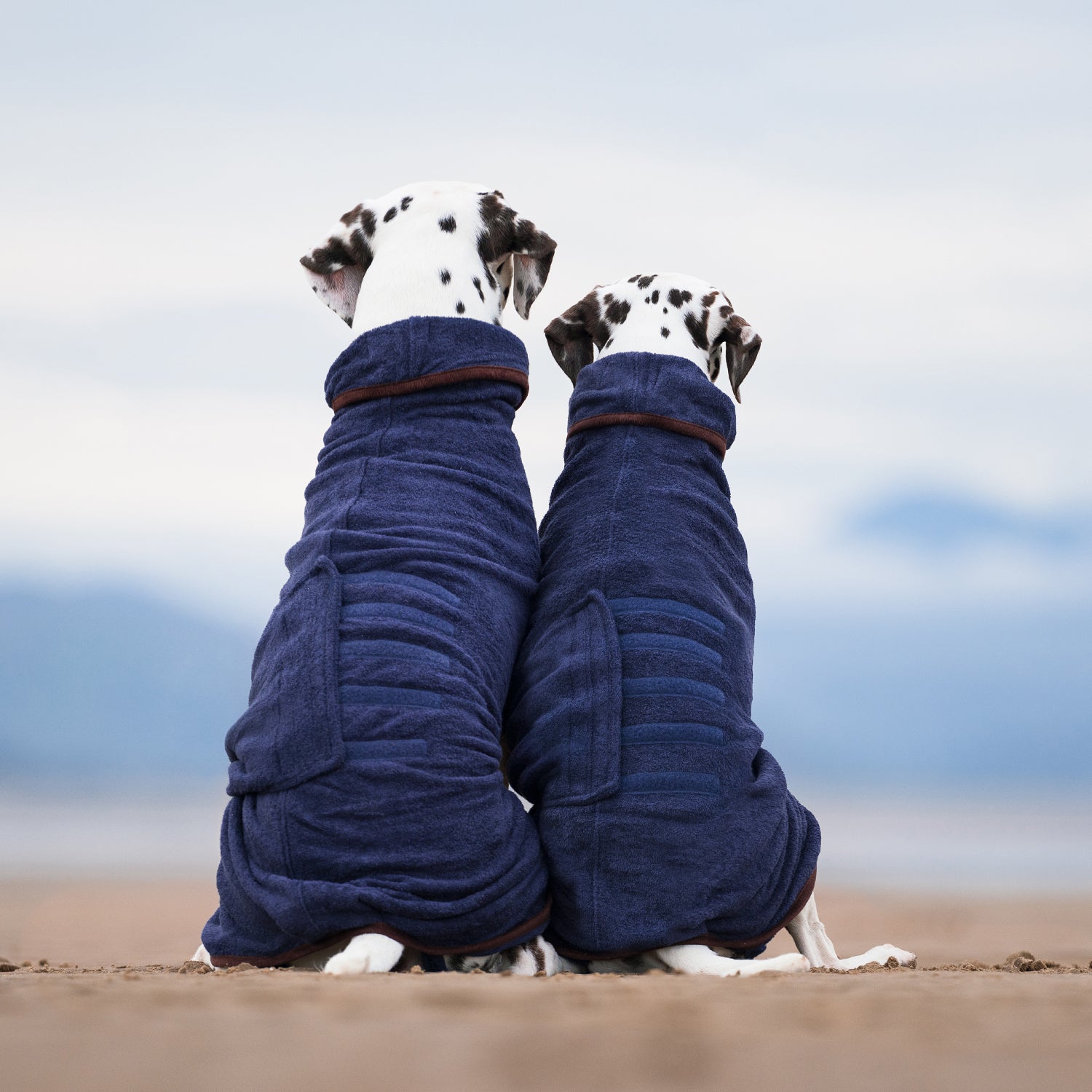 Country Dog Drying Coat - French Navy