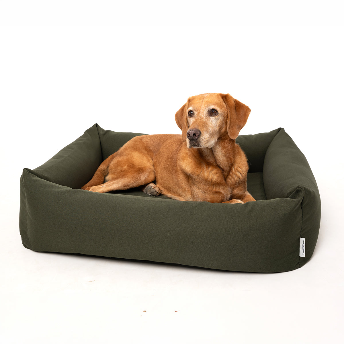 Canvas Burnham Bolster Dog Bed - Olive Ruff and Tumble