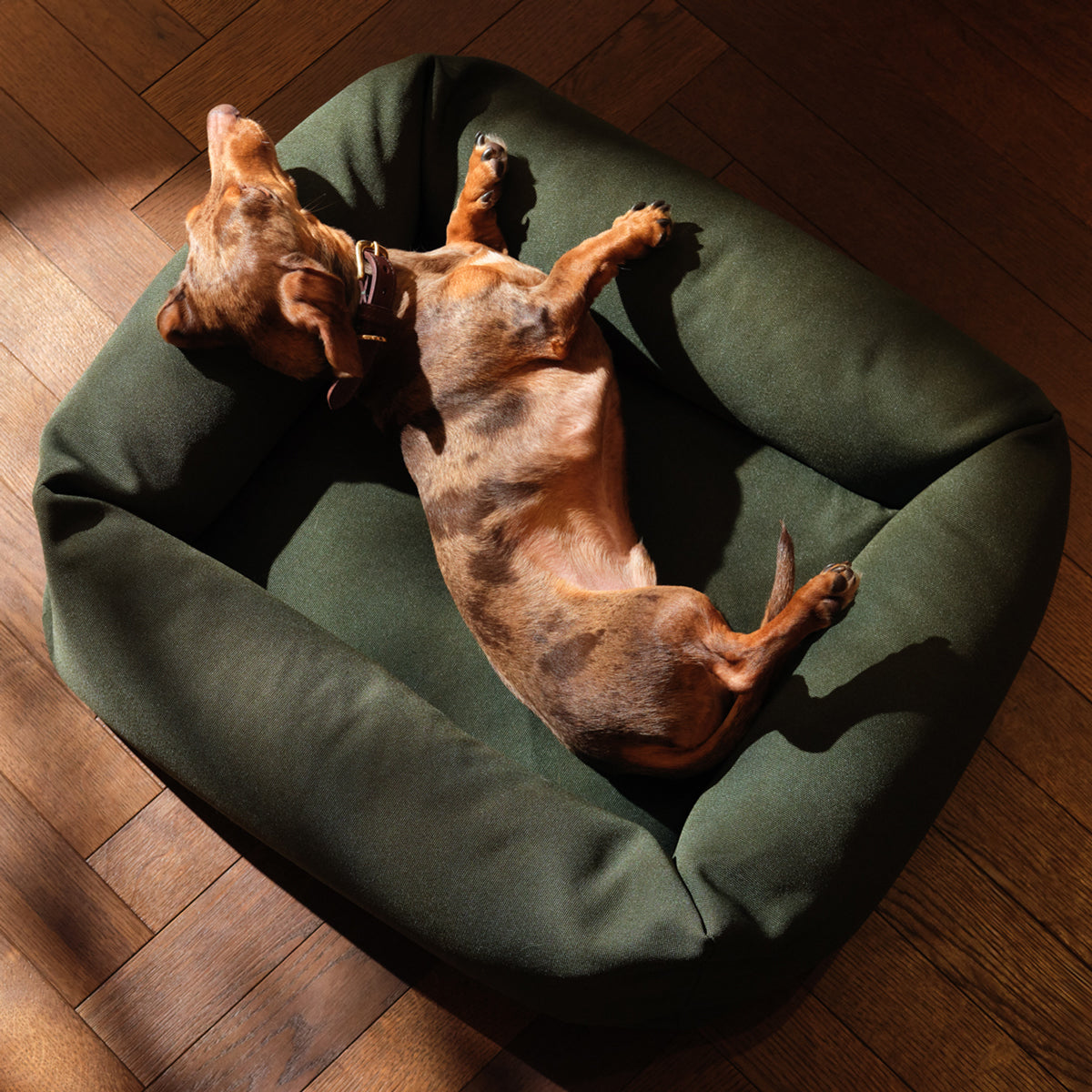 Canvas Burnham Bolster Dog Bed - Olive Ruff and Tumble
