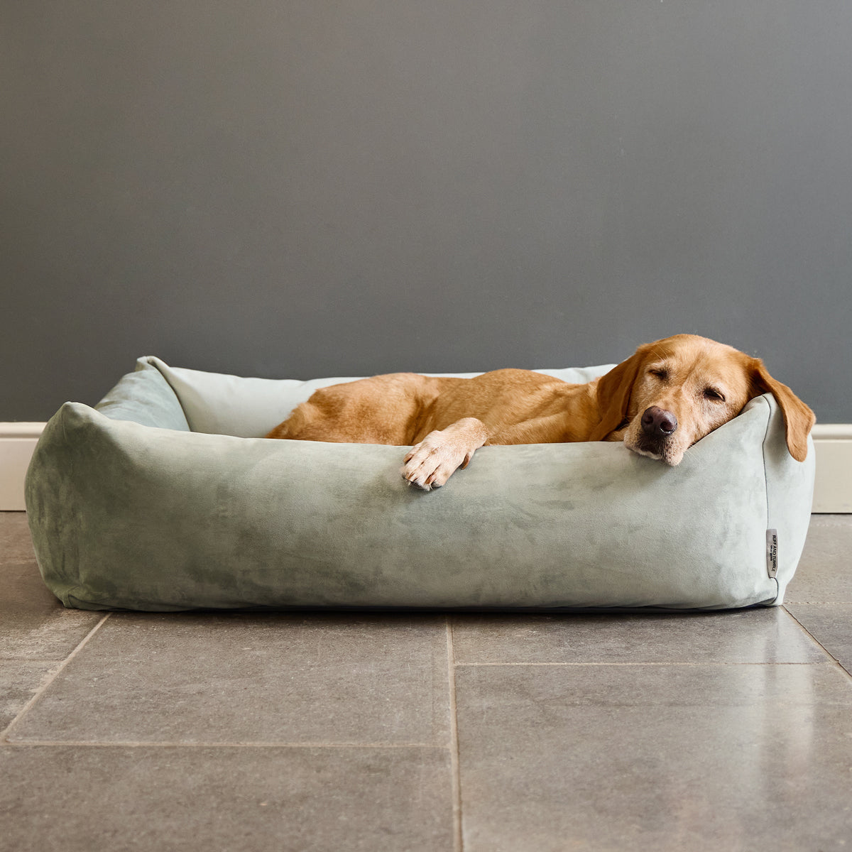 Velvet Burnham Bolster Dog Bed - Pistachio