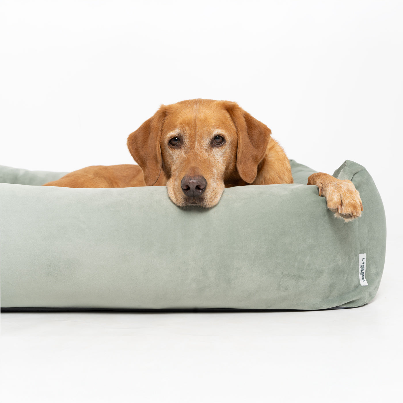 Velvet Burnham Bolster Dog Bed - Pistachio