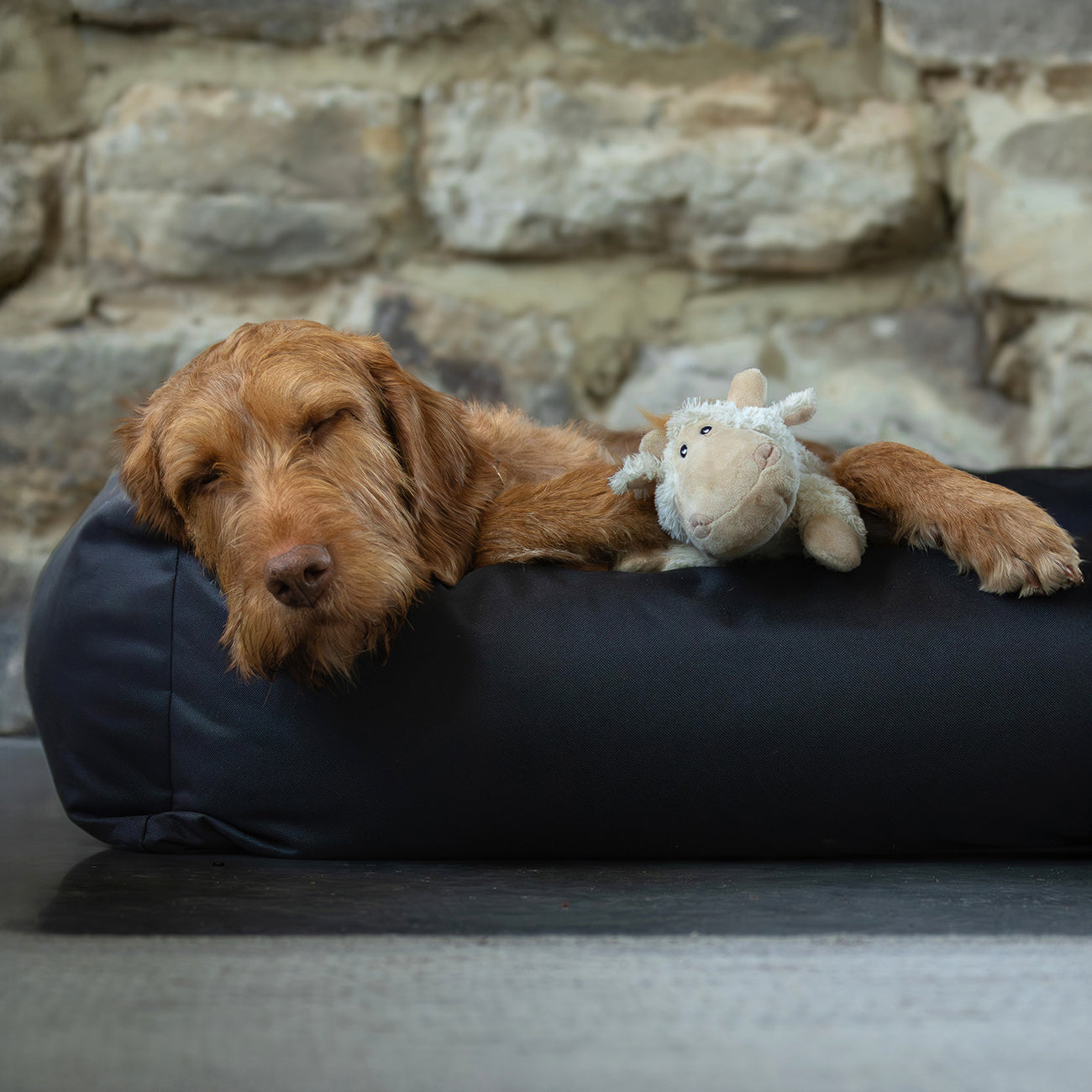 Waterproof Burnham Bolster Dog Bed - Black