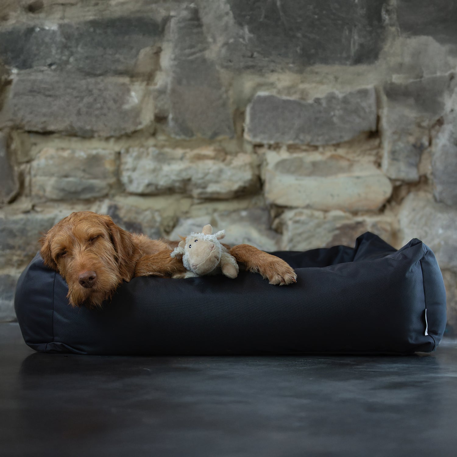 Waterproof Burnham Bolster Dog Bed - Black