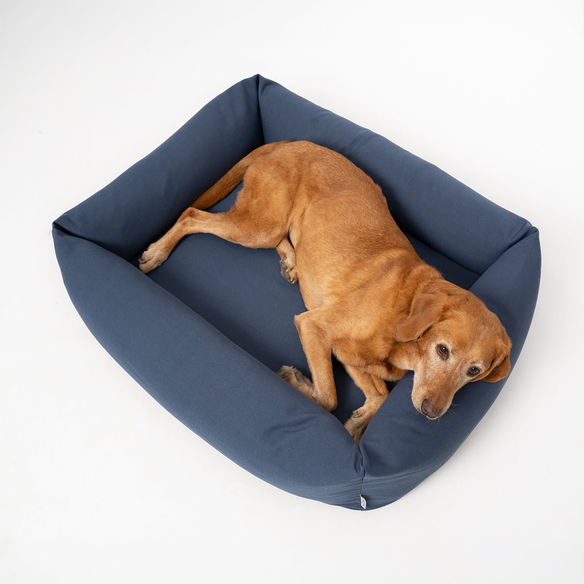 Canvas Burnham Bolster Dog Bed - Denim - Ruff and Tumble