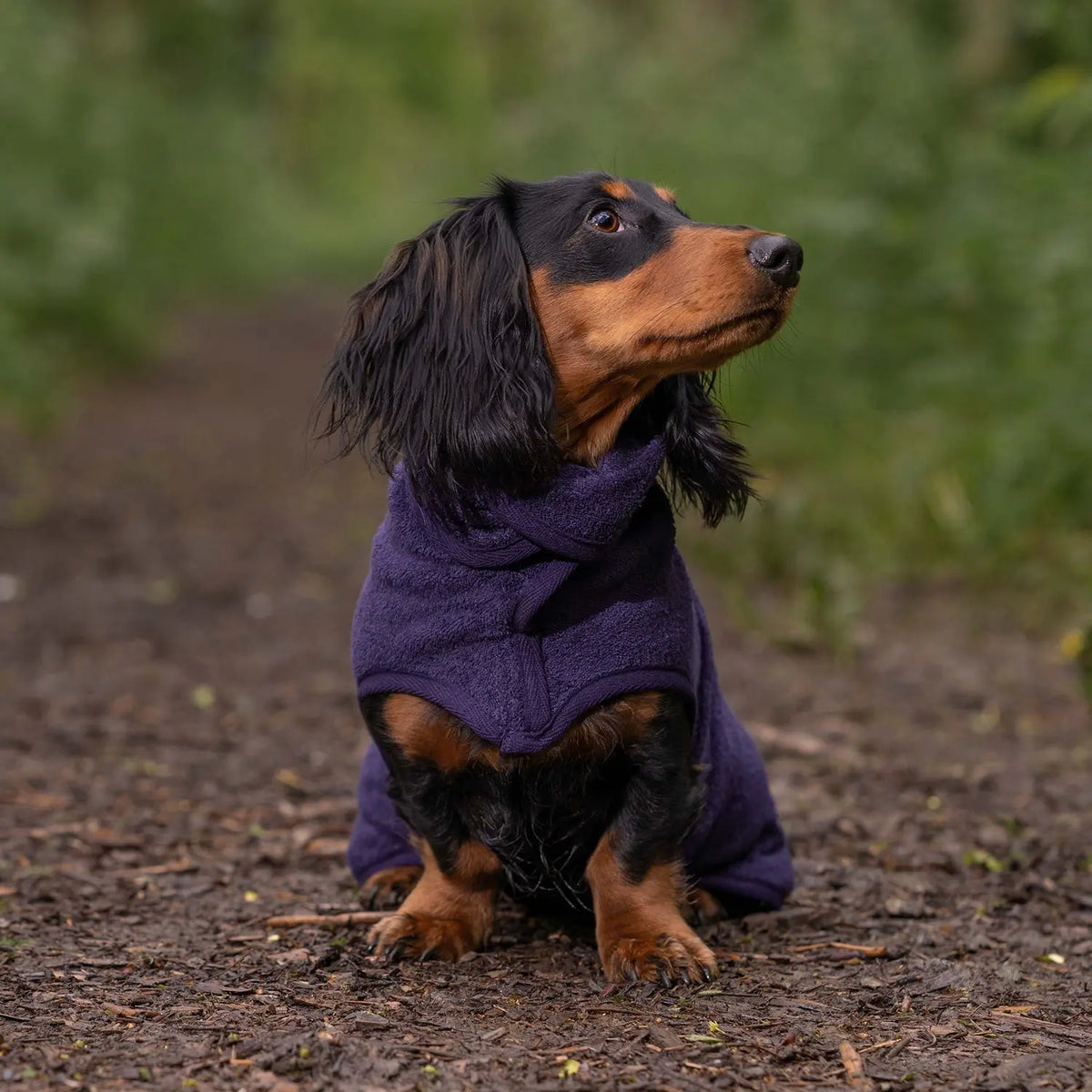 Classic Dog Drying Coat - Blackberry - Ruff and Tumble
