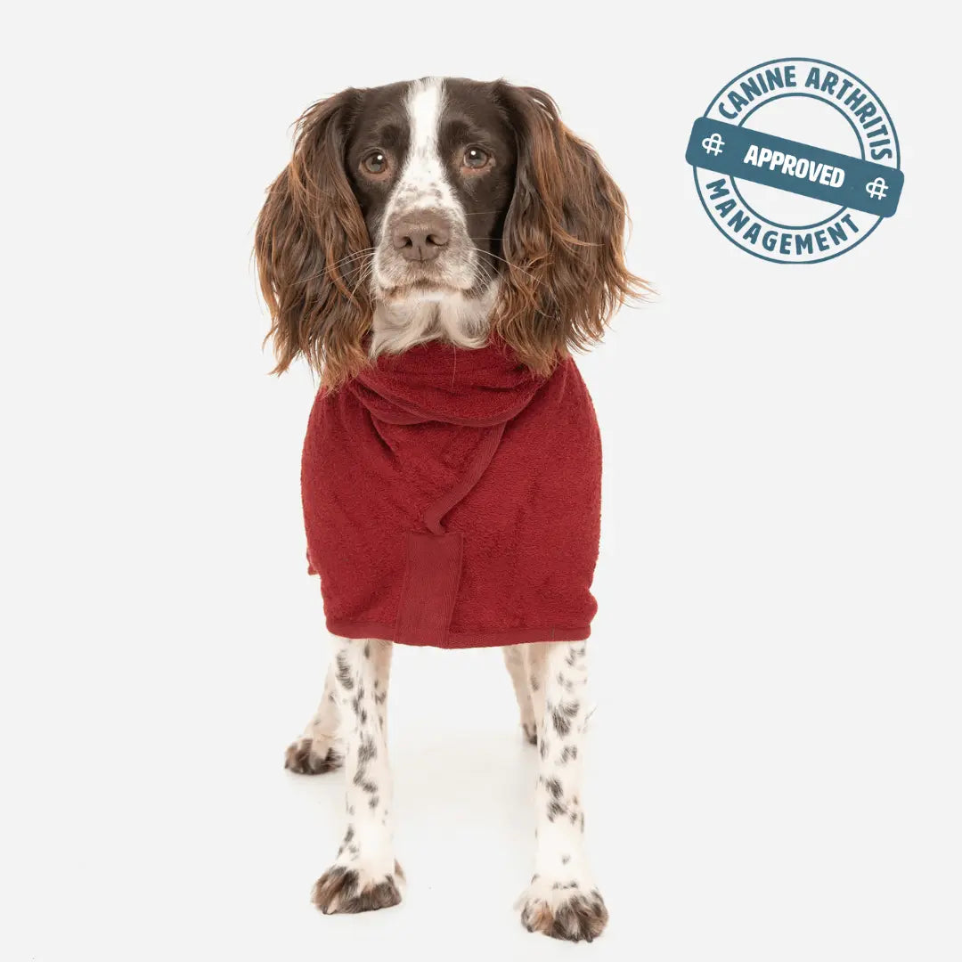 Classic Dog Drying Coat - Rosehip - Ruff and Tumble