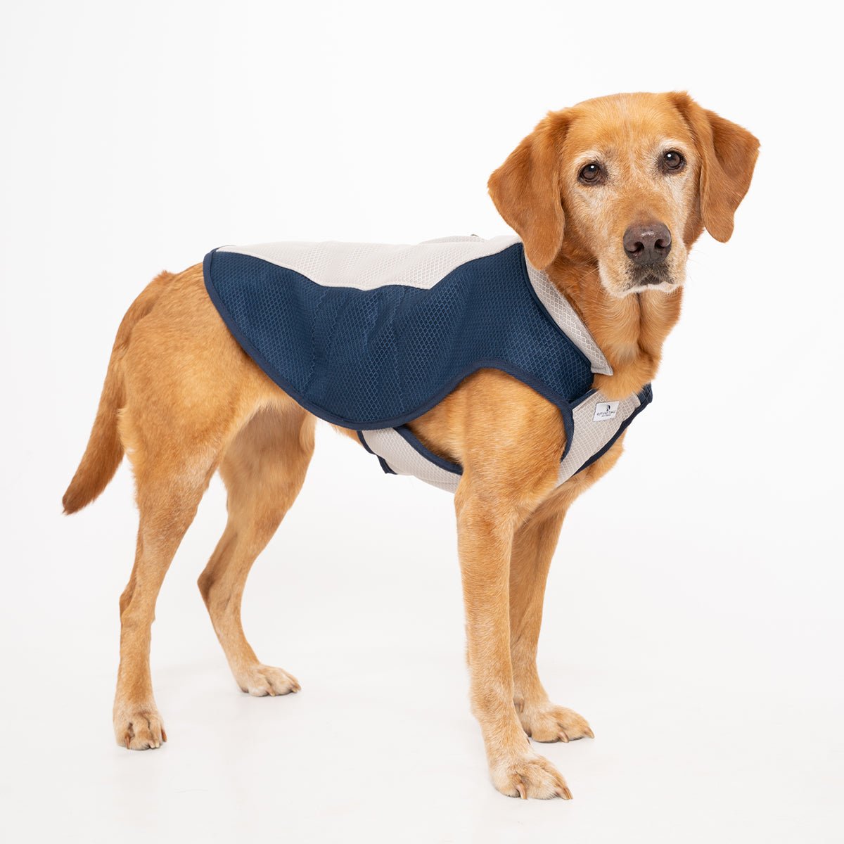 Dog Cooling Coat - Ruff and Tumble