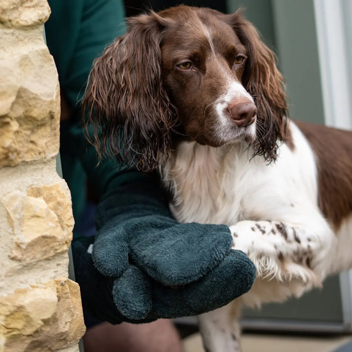 Dog Drying Mitts - Forest - Ruff and Tumble