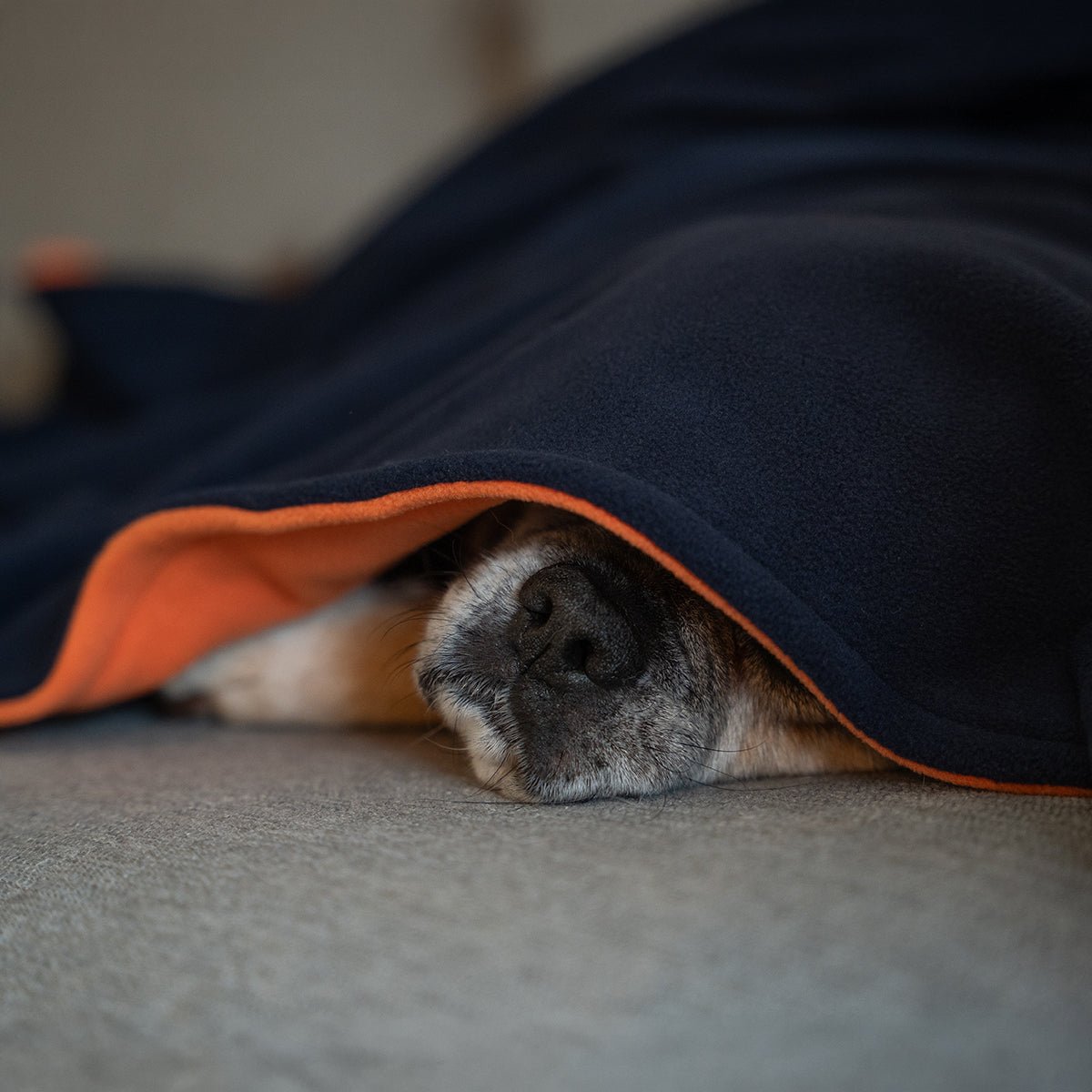 Fleece Dog Blanket - Burnt Orange & Navy - Ruff and Tumble