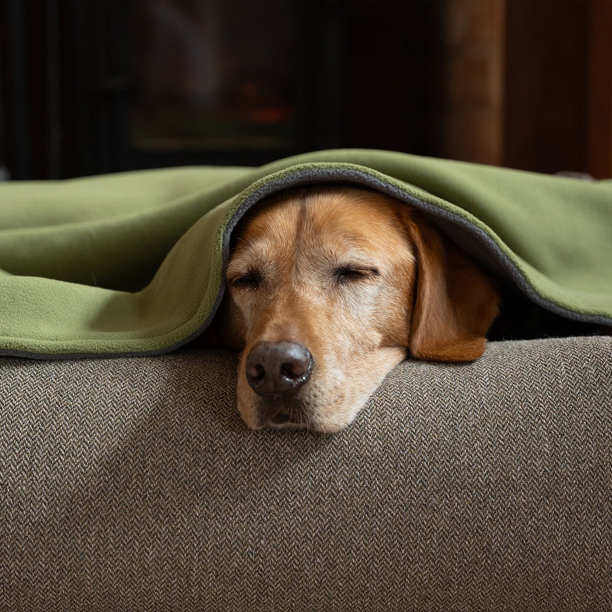 Fleece Dog Blanket - Moss & Storm - Ruff and Tumble