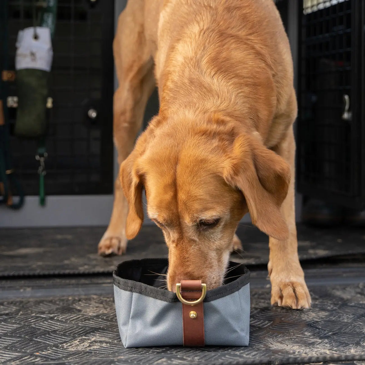 Foldable Travel Bowl - Storm - Ruff and Tumble