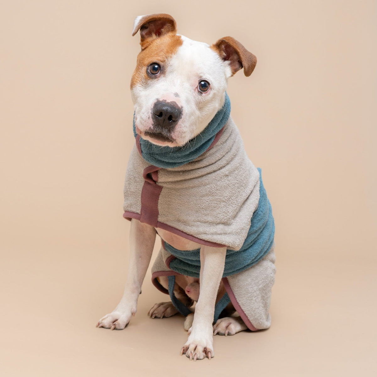 Limited Edition Dog Drying Coat - Crufts 2026 - Ruff and Tumble