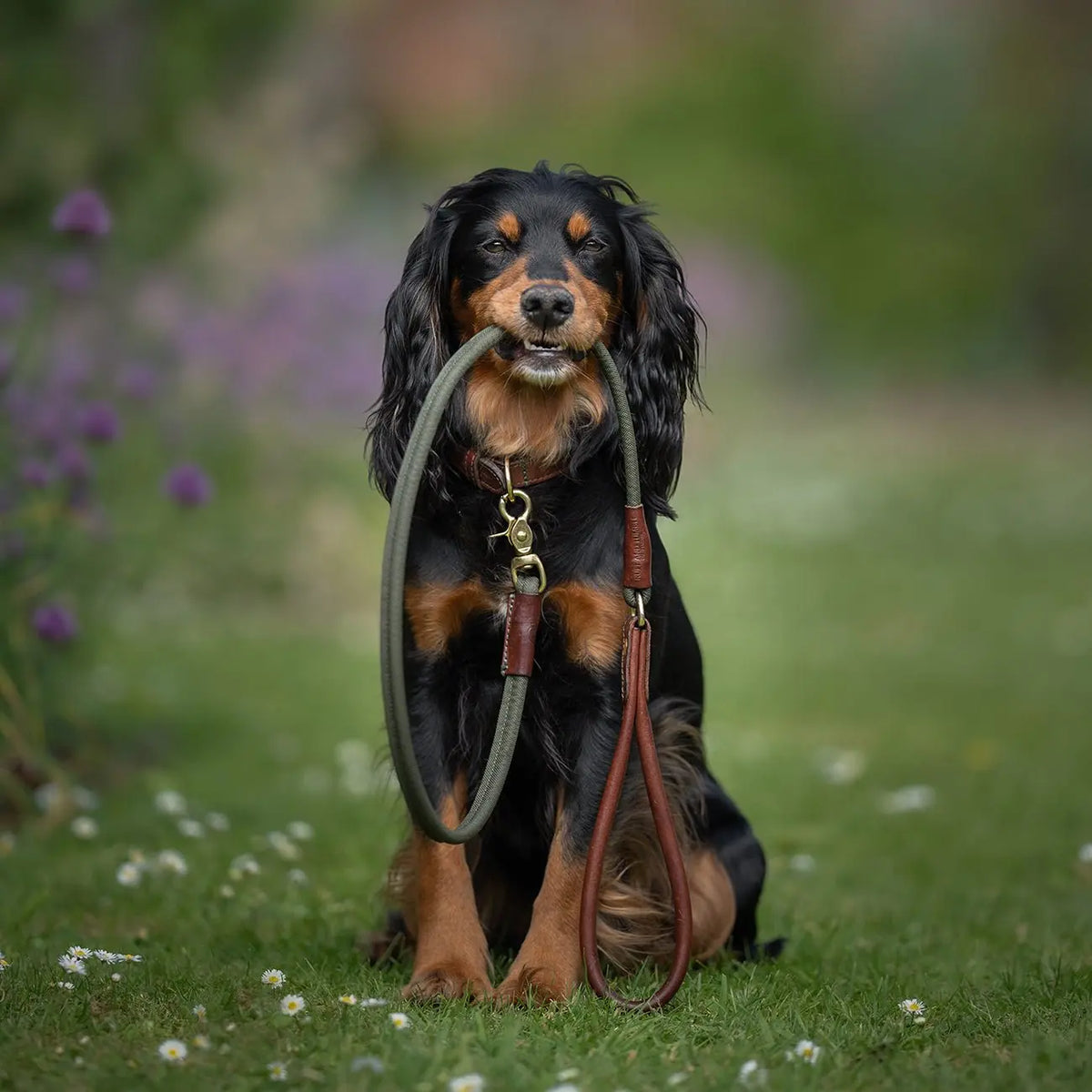 Morston Rolled Clip Lead - Ruff and Tumble