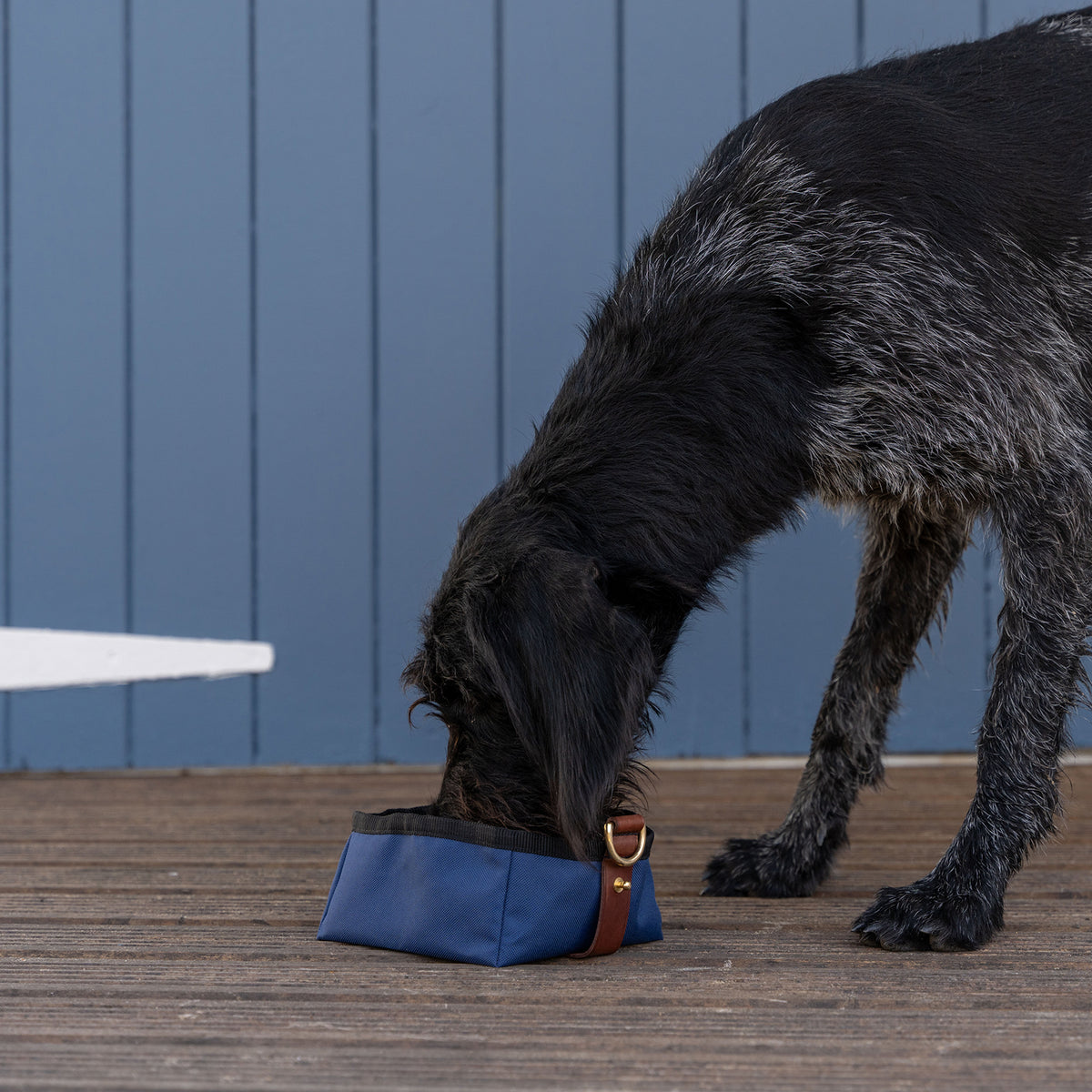 Foldable Travel Bowl - Navy
