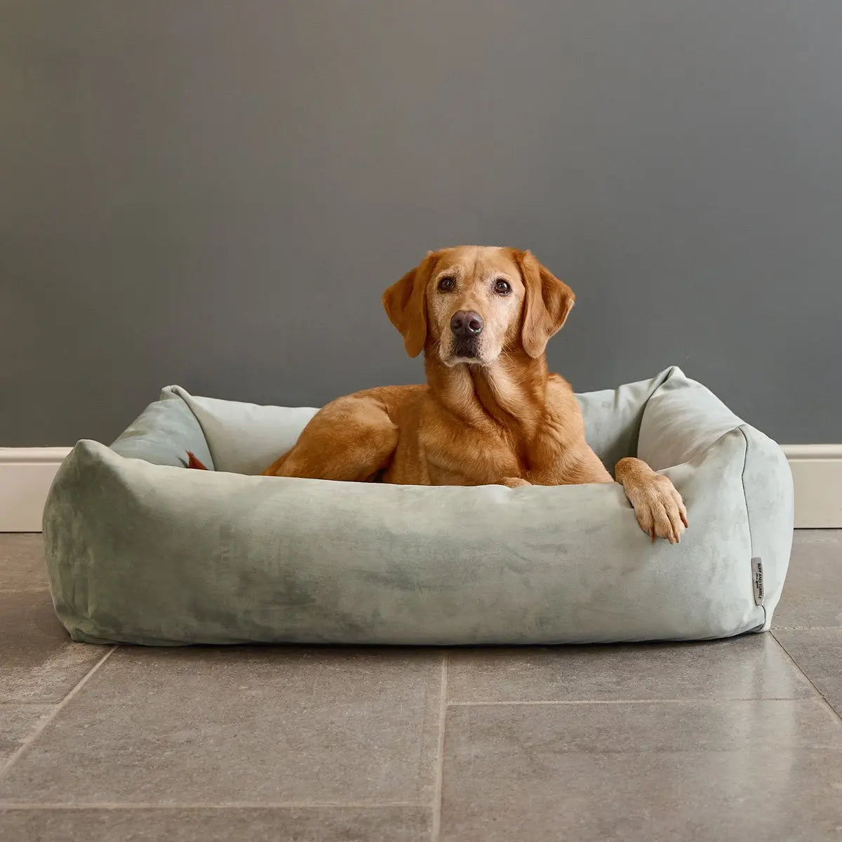 Velvet Burnham Bolster Dog Bed - Pistachio - Ruff and Tumble