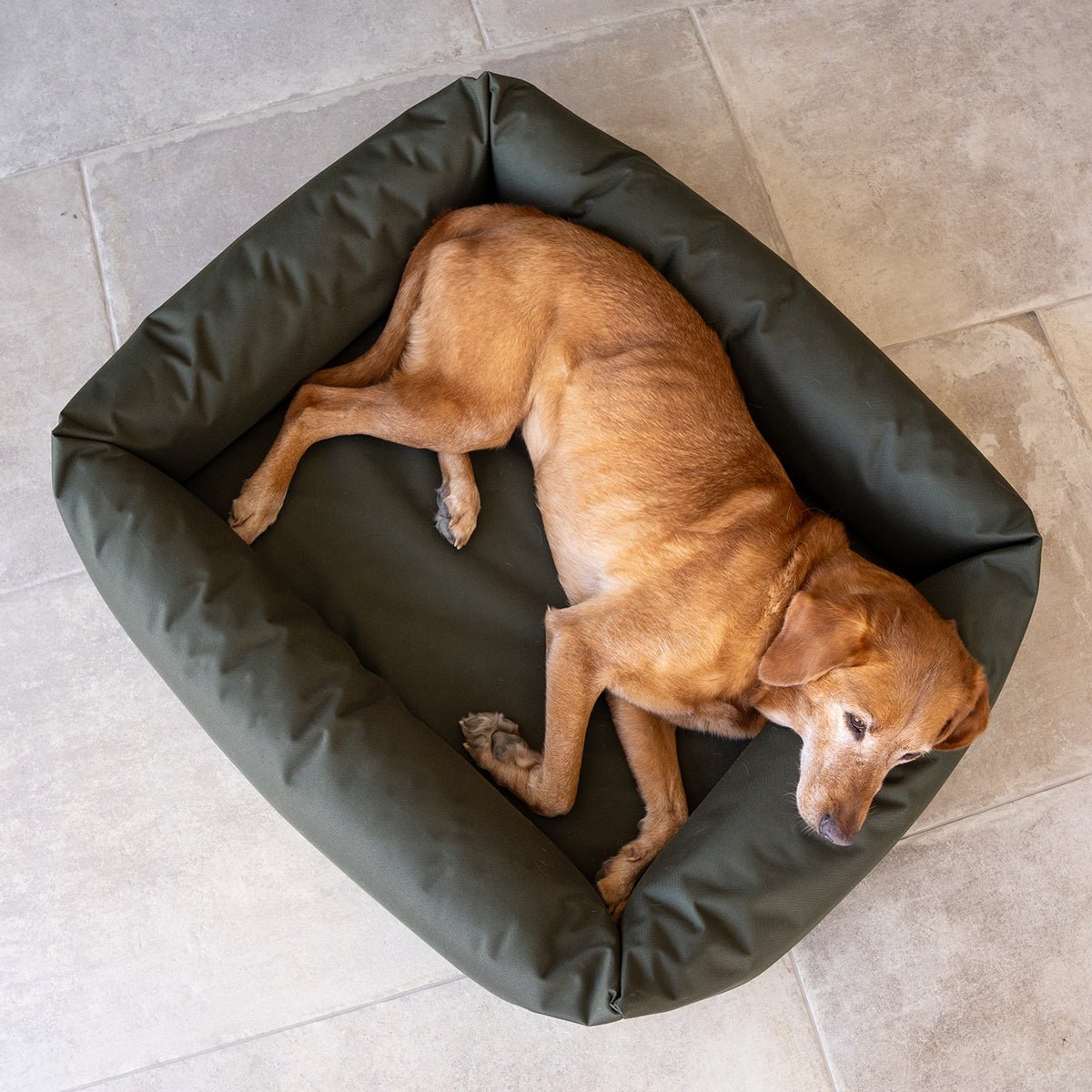 Waterproof Burnham Bolster Dog Bed - Olive - Ruff and Tumble