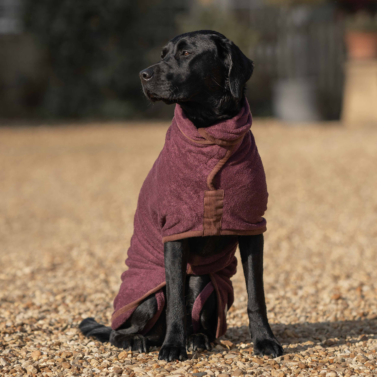 Country Dog Drying Coat - Burgundy