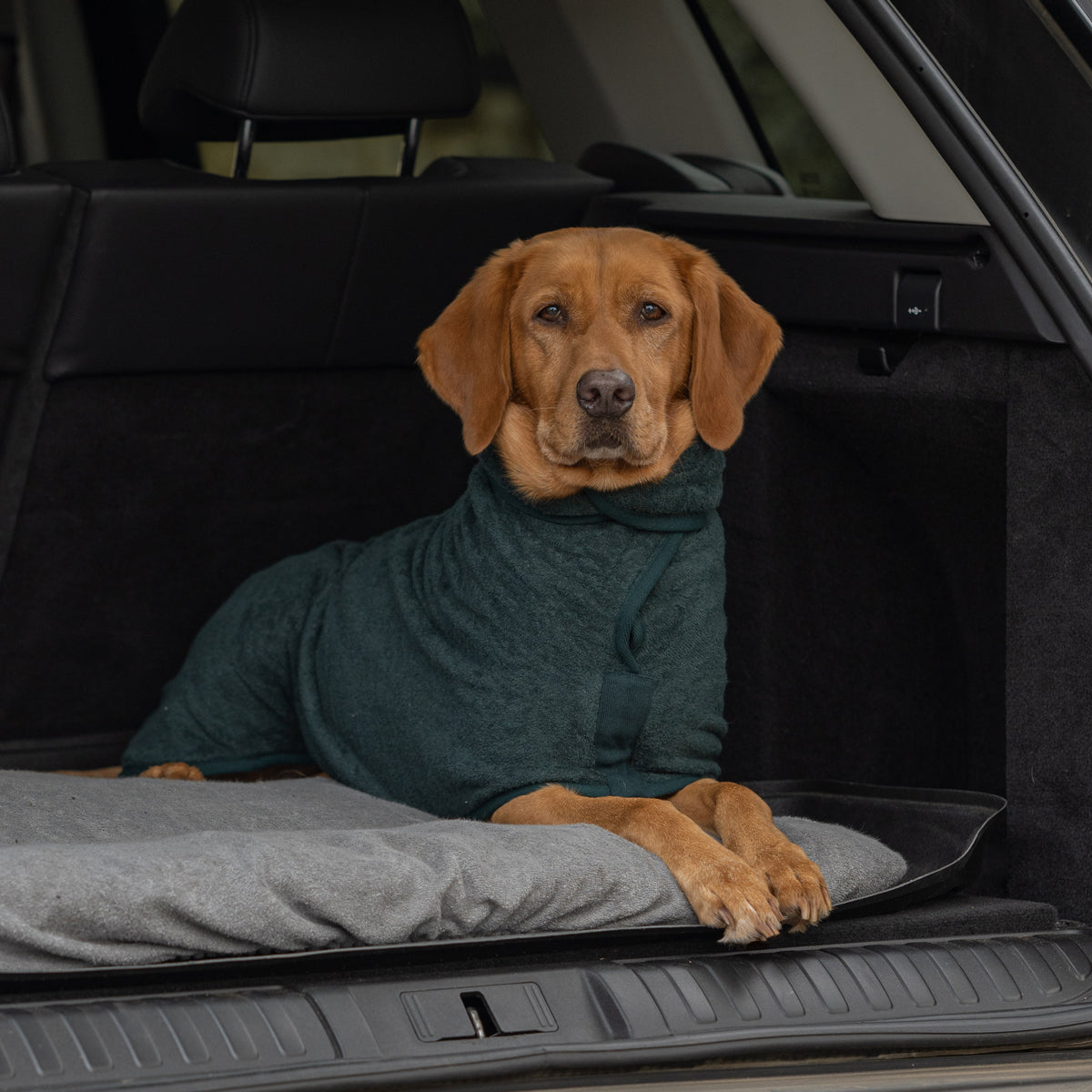 Classic Dog Drying Coat - Forest