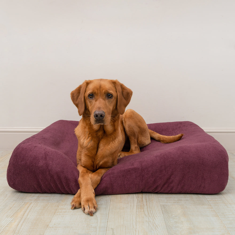 Dog Bed Cover - Burgundy