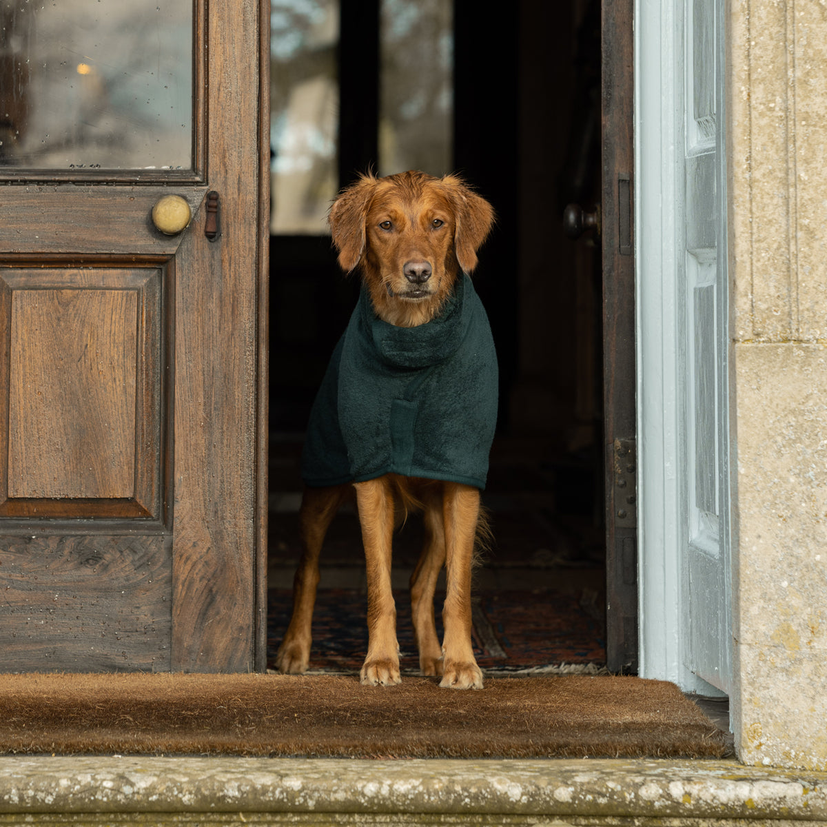 Classic Dog Drying Coat - Forest