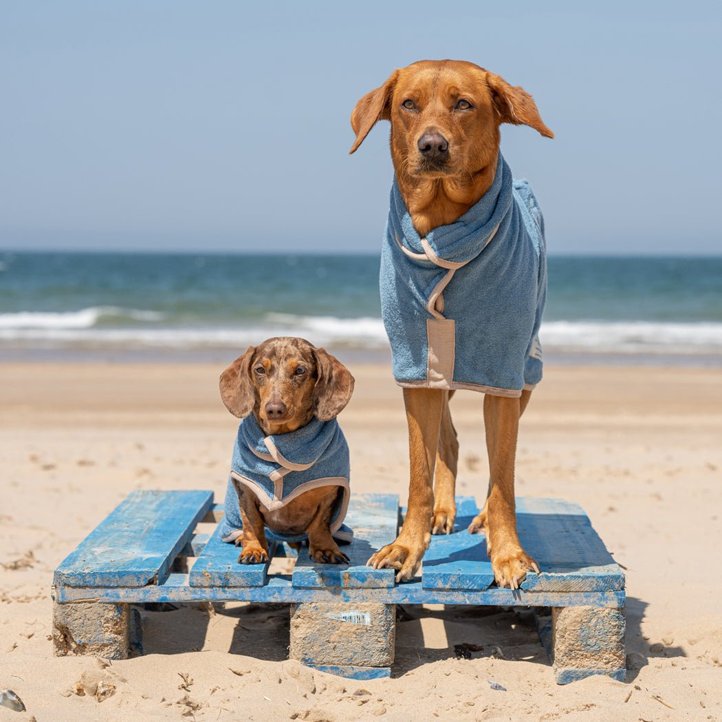 10 years of celebrating how we’ve grown… - Ruff and Tumble