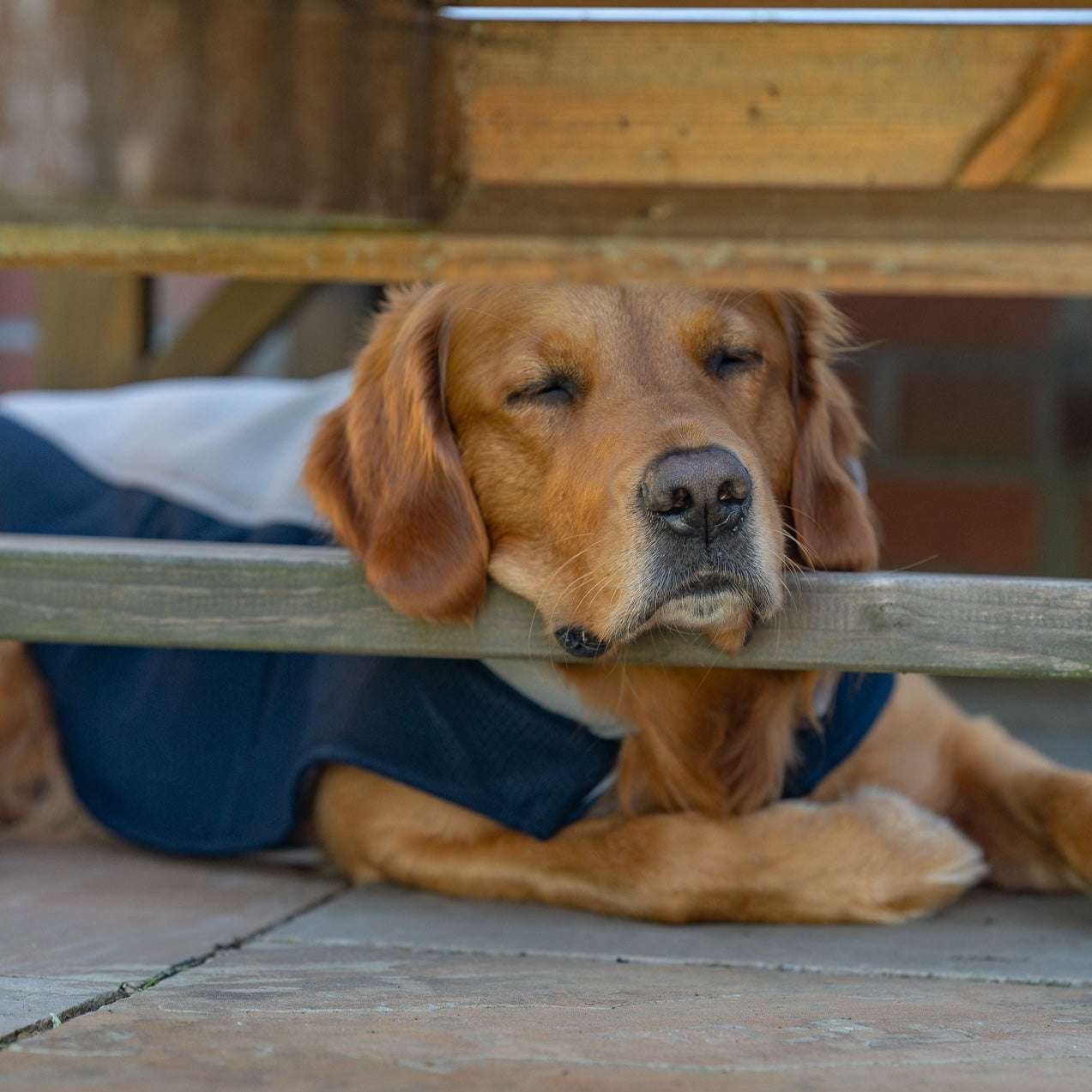 How Our Cooling Coats Work