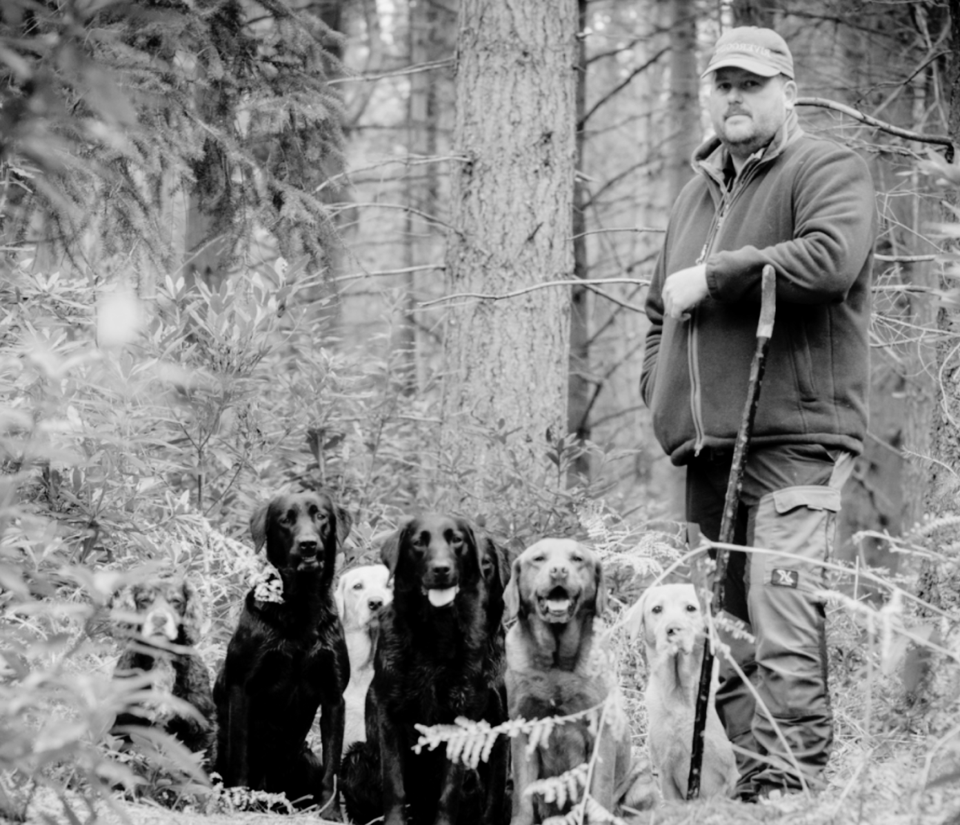 The Professionals: Riverggins Gundogs