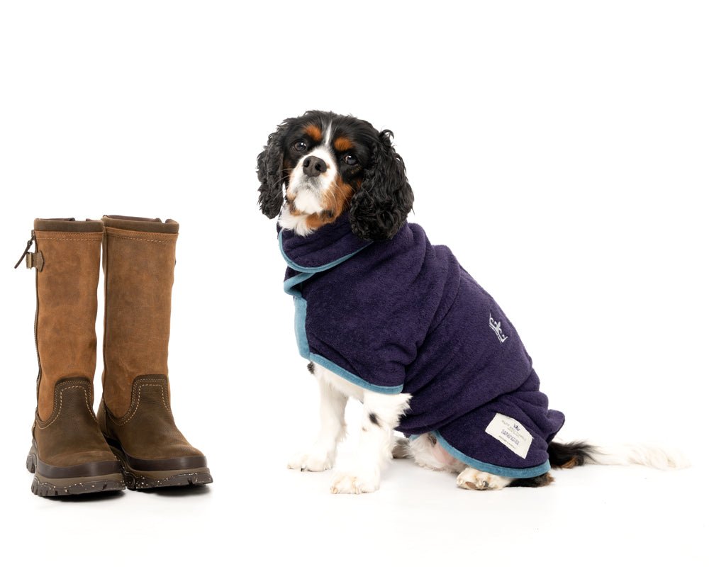 Badminton Horse Trials 2023 – 10 reasons to go and what you need to know! - Ruff and Tumble