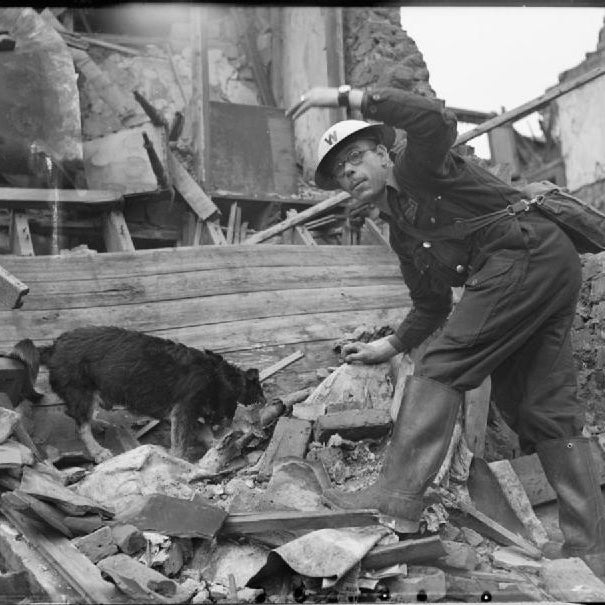 Dogs who made a difference - Ruff and Tumble