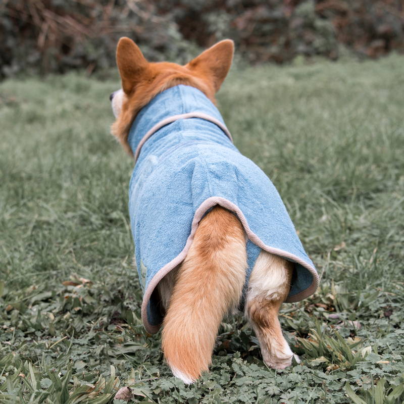 Fit for a Queen - Ruff and Tumble