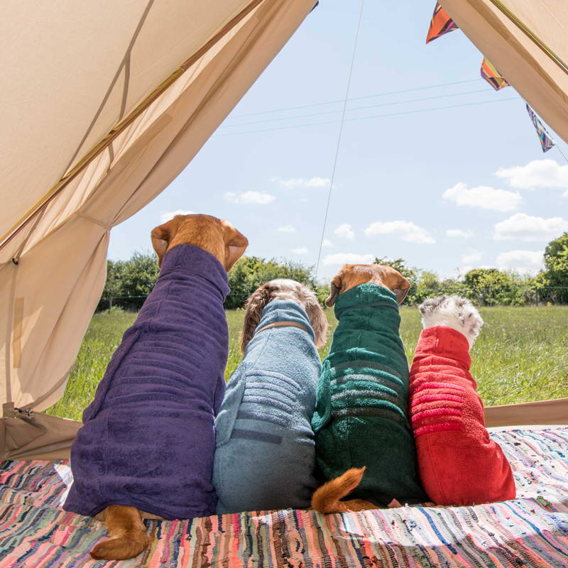 Hassle free hols with the Dog - Ruff and Tumble