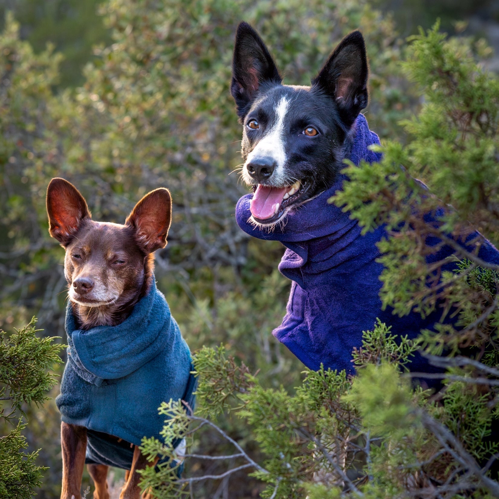 How Ruff & Tumble Drying Coats Work - Ruff and Tumble