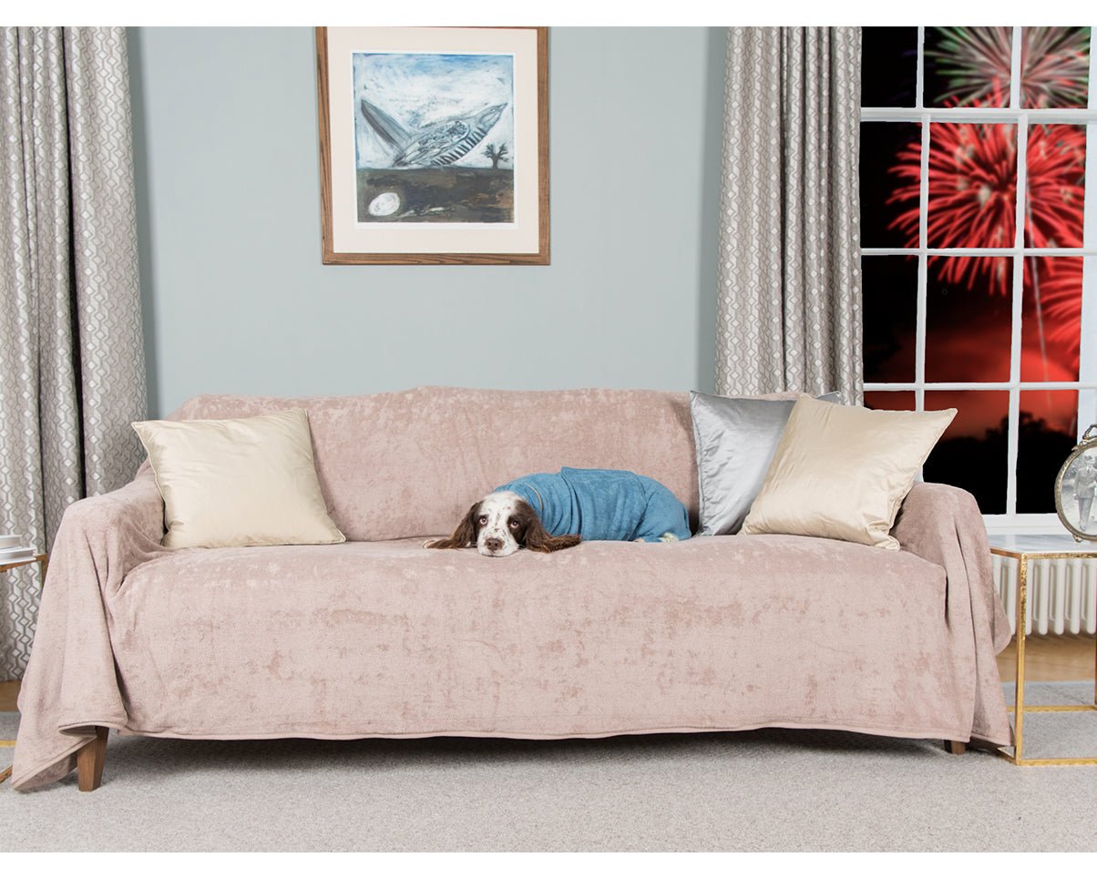 How to help your dog have a stress-free Firework Season. - Ruff and Tumble