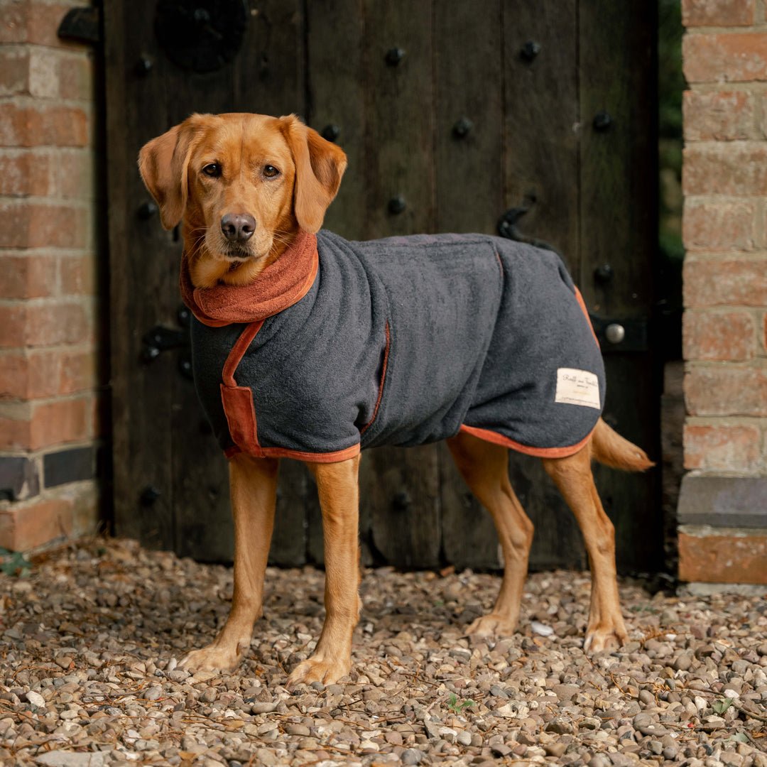 New Limited Edition Drying Coat for dogs! - Ruff and Tumble