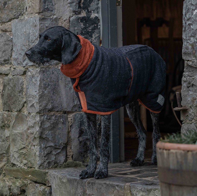 Our Crufts 2024 model Maggie! - Ruff and Tumble