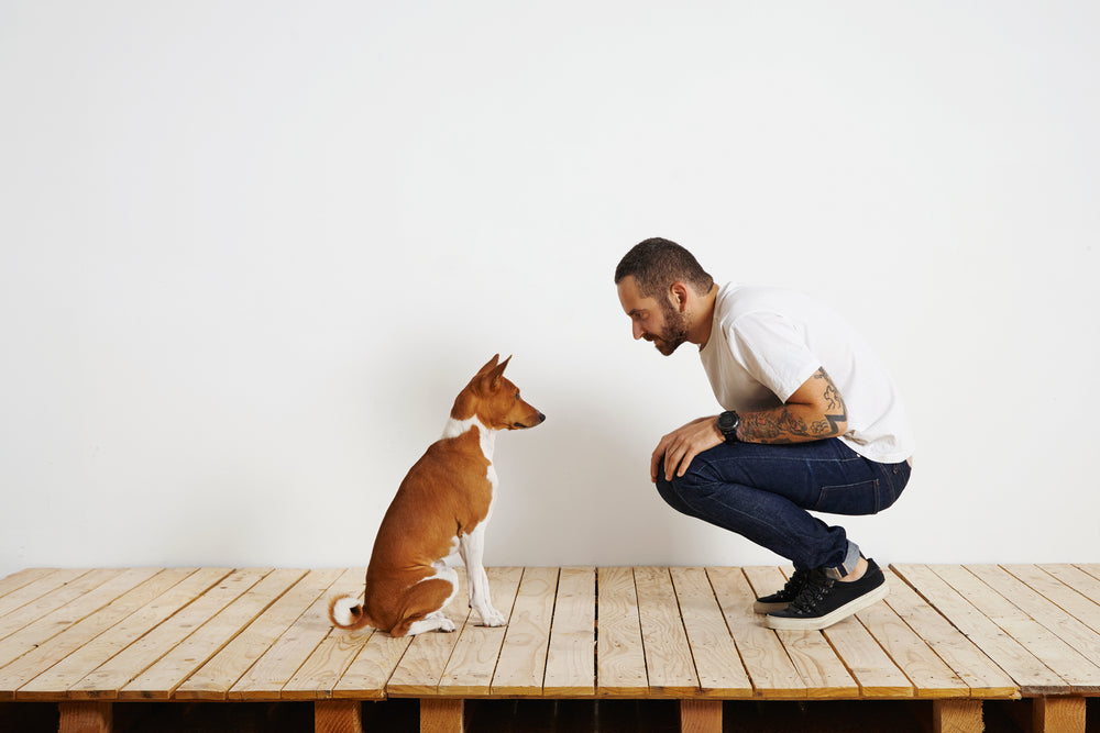 April: Speaking Dog - 5 ways to show your dog you love him