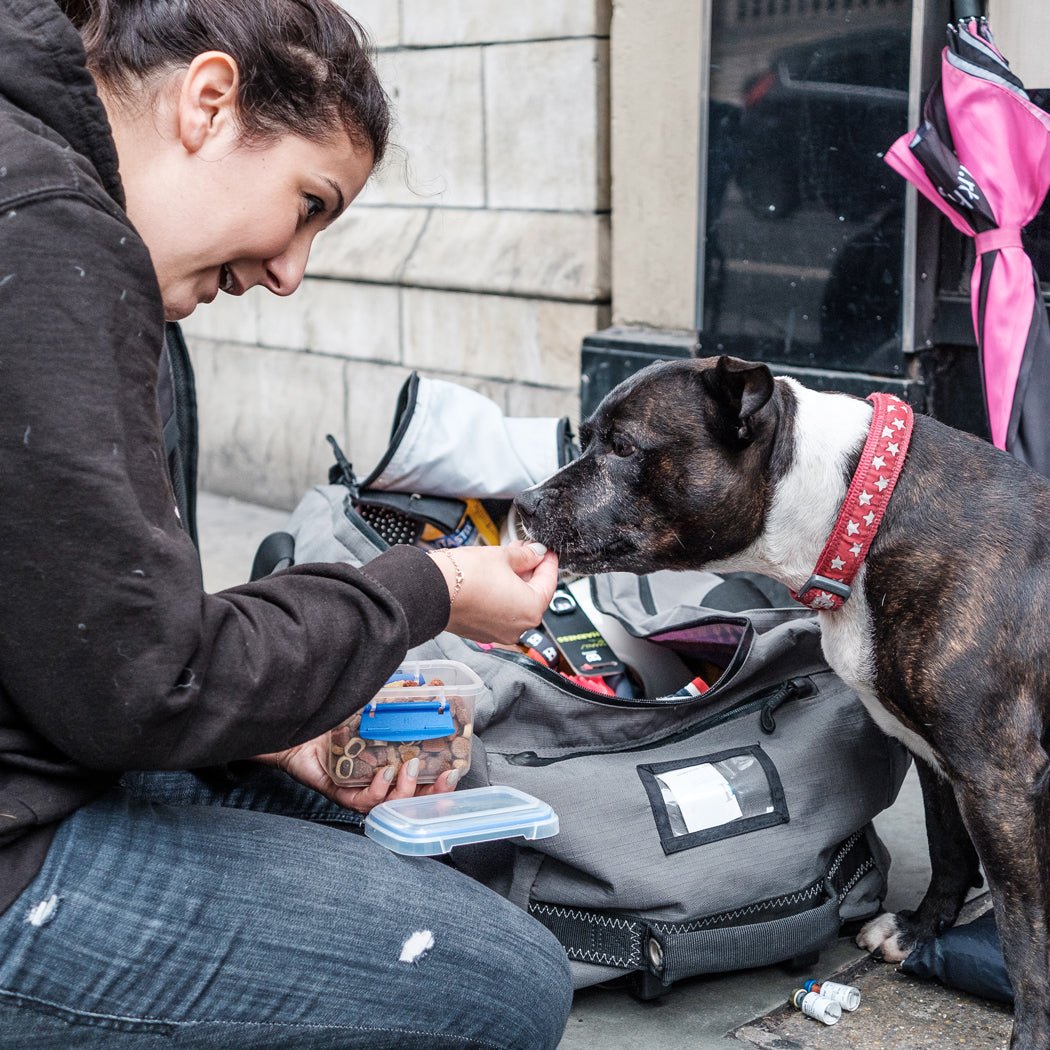 StreetVet - Help us to help them! - Ruff and Tumble