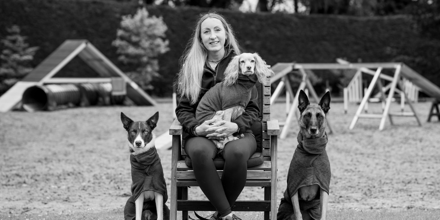 The Professionals: Helen Postle - Ruff and Tumble