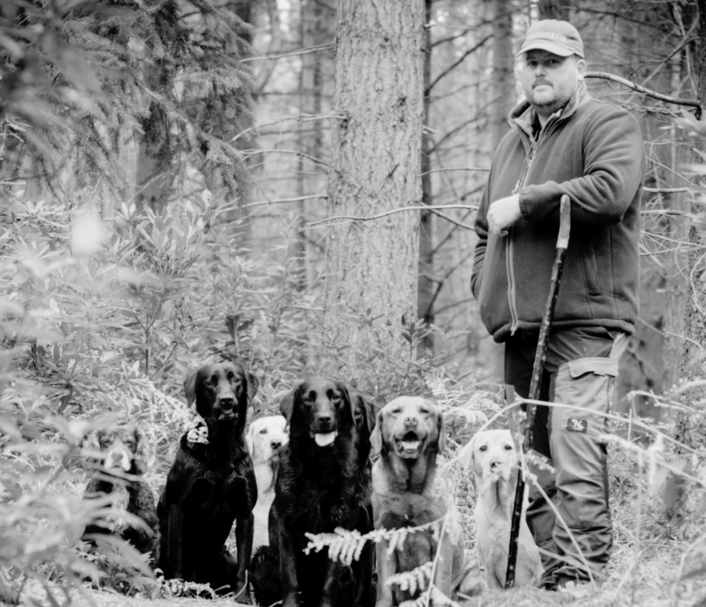 The Professionals: Riverggins Gundogs - Ruff and Tumble